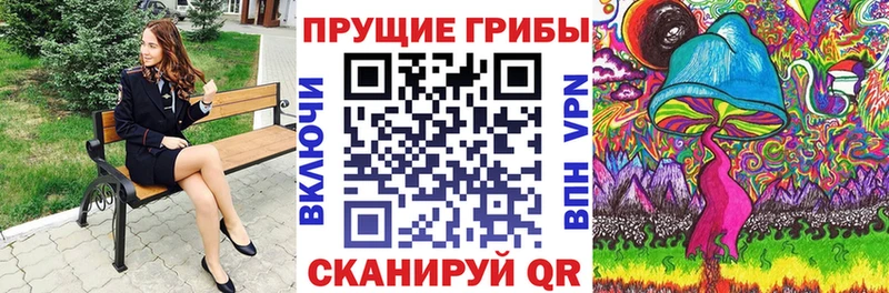 дарнет шоп  Усть-Лабинск  Псилоцибиновые грибы ЛСД 